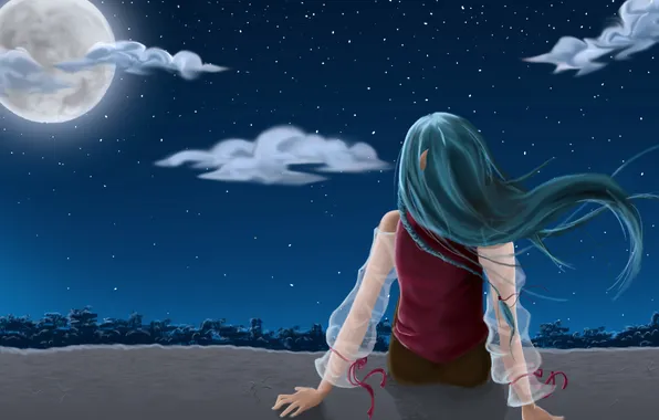 Girl, stars, trees, night, the moon, hair, back, anime