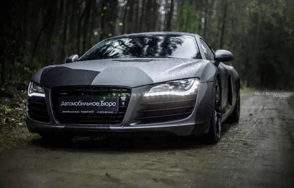 Car, machine, auto, forest, fog, rain, Audi, audi