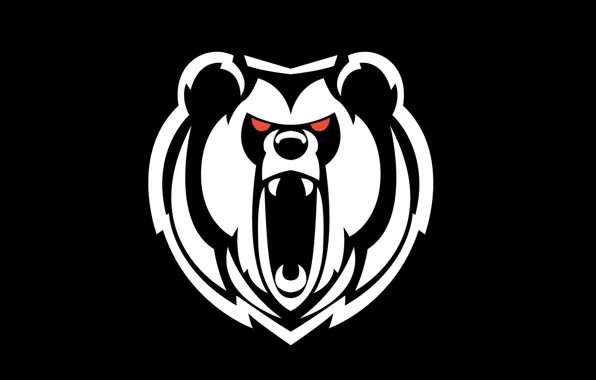 Background, white, head, black, Bear, roar