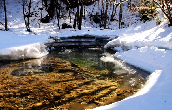 Picture forest, snow, trees, river, stream, spring