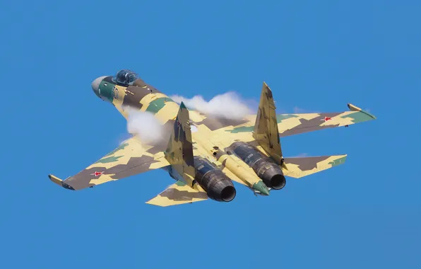 Fighter, Dry, Su-35BM, 901