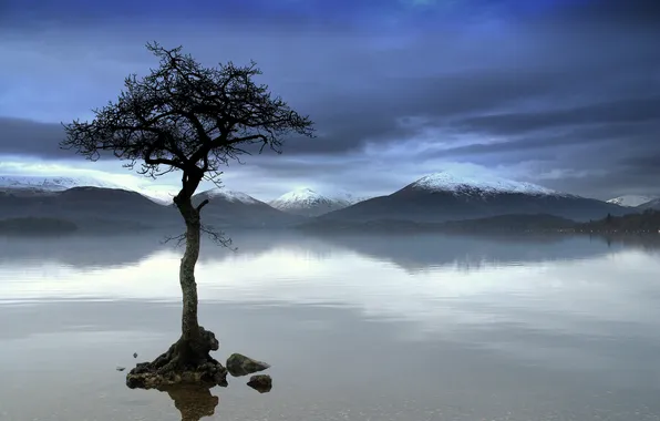 Picture mountains, reflection, river, tree