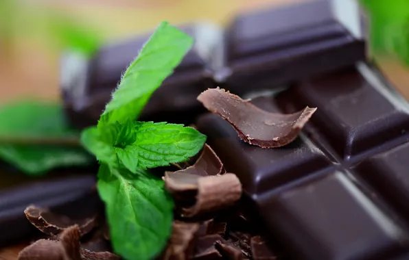 Leaves, black, tile, dark, chocolate, mint, dessert, slices