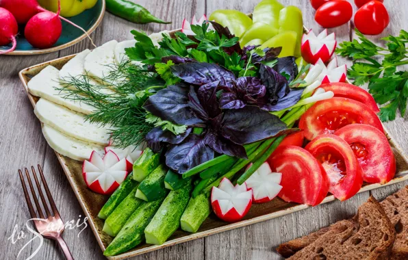Cheese, bow, dill, vegetables, tomatoes, parsley, cucumbers, radishes