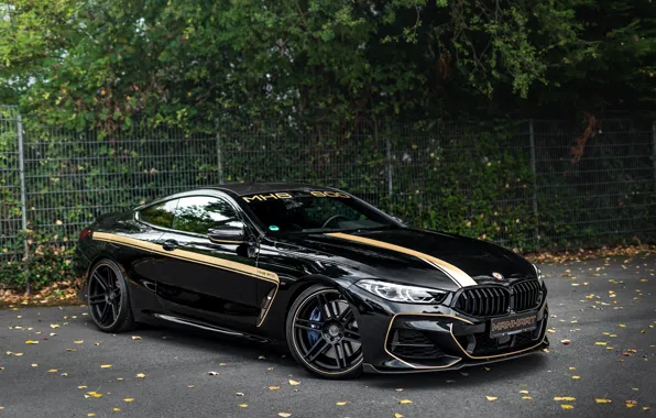BMW, Manhart, 8-Series, 2019, G15, M850i, XDrive, MH8 600