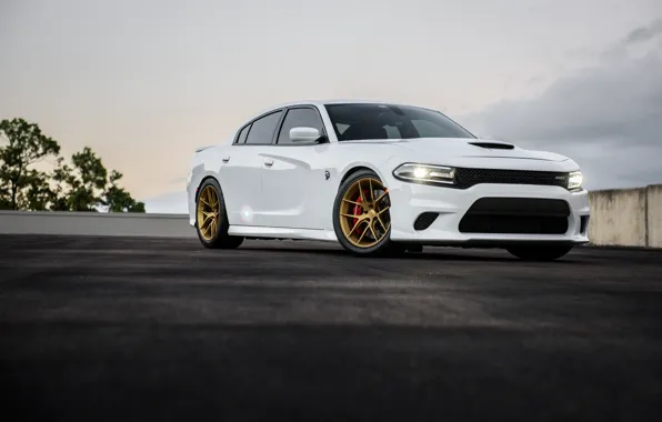 Picture Dodge, One, Charger, Forged, Hellcat, Piece, Forgeline, Monoblock