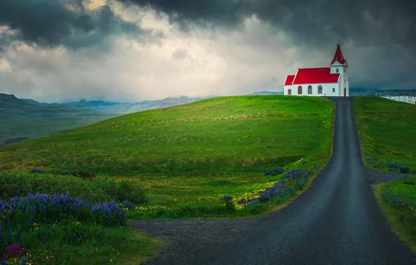 Road, greens, field, clouds, flowers, village, hill, Church
