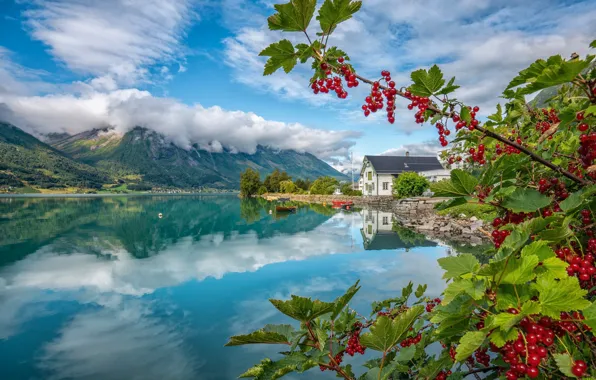 Picture mountains, lake, house, reflection, berries, boats, Norway, red currant