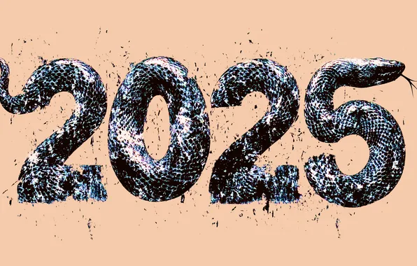 Language, snake, scales, figures, tail, snakes, New year, date