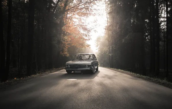 Auto, Road, Trees, Machine, AUDI, 100, 100 C1, AUDI 100