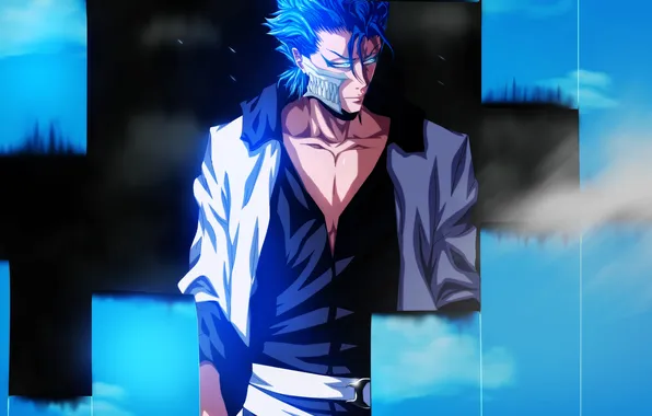 Picture anime, art, hairstyle, Bleach, blue hair, Grimmjow Jaegerjaquez