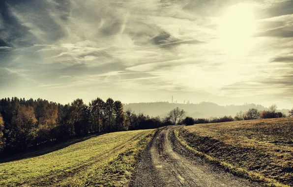 Road, trees, landscape, nature, photo, photo