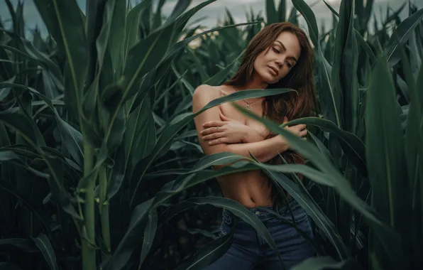 Field, girl, pose, jeans, corn, hands, Janusz Żołnierczyk