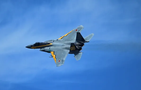 Fighter, Eagle, F-15, McDonnell Douglas