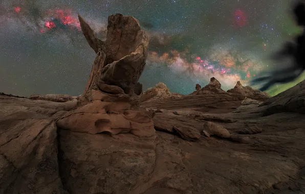 The sky, night, stones, tree, rocks, desert, dal, The milky way