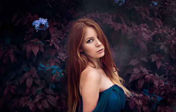 Picture look, leaves, flowers, portrait, red, redhead, long hair