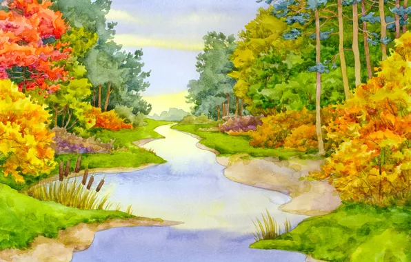 Picture forest, summer, the sky, flowers, the reeds, paint, river, bright