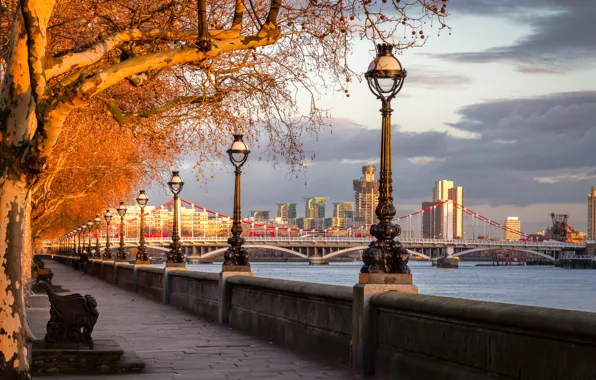 Autumn, trees, bridge, river, England, London, lights, promenade