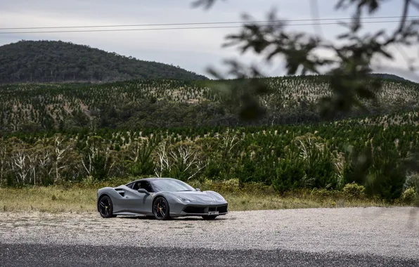 Picture ferrari, Ferrari, GTB, 488