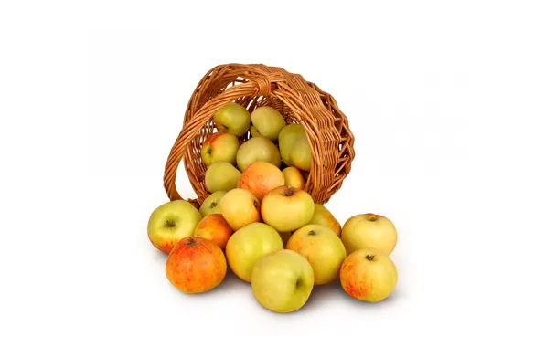 Apples, harvest, basket