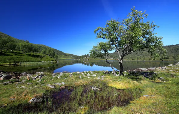 Picture the sky, lake, Norway