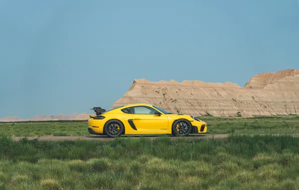 Picture Porsche, Cayman, side view, Weissach Package, 718, Porsche 718 Cayman GT4 RS