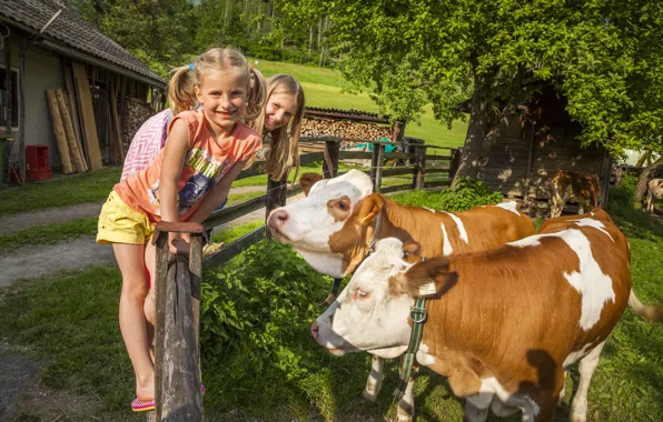 Picture Nature, Austria, Children, Farm, Girls, Stay, Cows, Austria