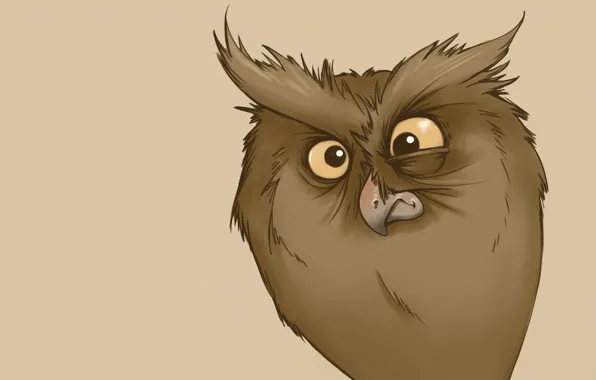 Owl, minimalism, owl, funny look