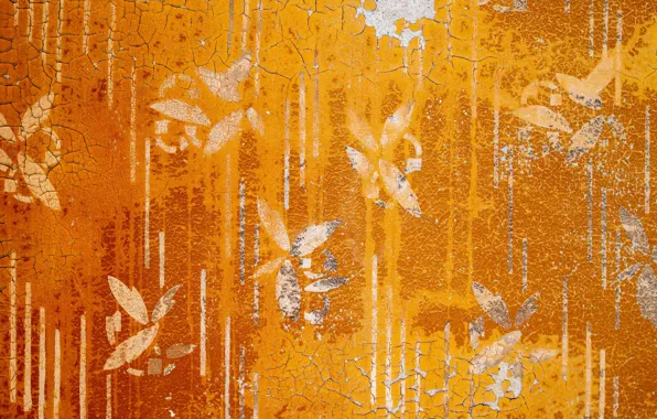 Picture background, color, texture