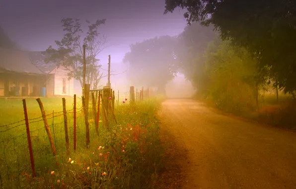 Picture road, nature, fog, house, the fence, morning