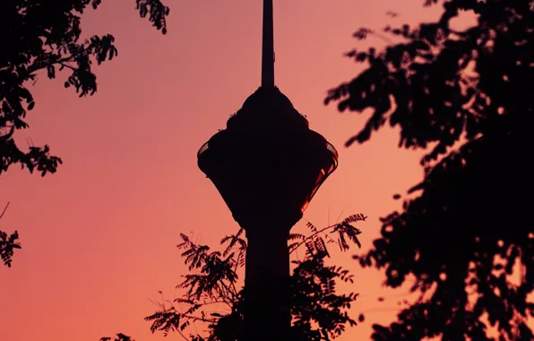 The sky, branches, pink, the building, tower, twilight