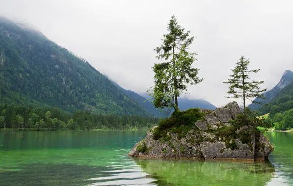 Forest, mountains, lake, island, Bayern, Berchtesgaden