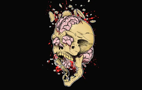 Picture the explosion, squirt, fragments, creative, figure, skull, art, brain