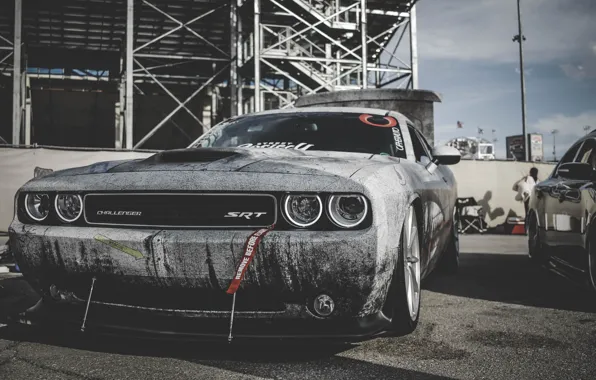 Picture Dodge, Challenger, Dodge Challenger