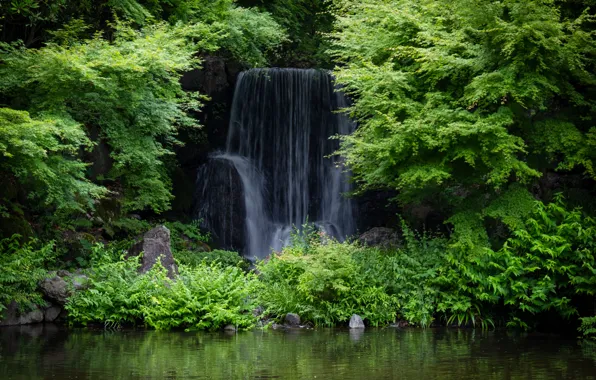 Forest, waterfall, Japan, Expo Memorial Park