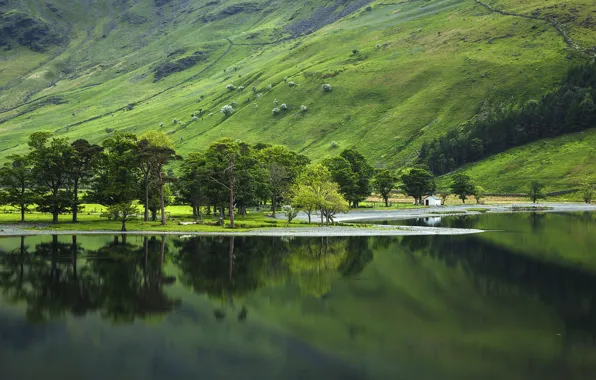 National Park, Lake District, the lake district, Buttermere Valley