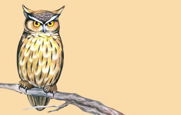 Owl, bird, branch, painting, light background, owl, wise, cruise