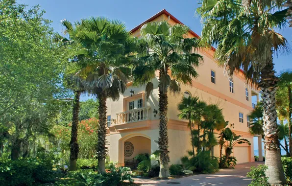 Picture the city, palm trees, Villa