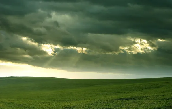 Picture field, grass, clouds, light