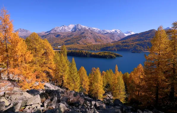 Autumn, trees, mountains, lake, Switzerland, Alps, Switzerland, Engadin