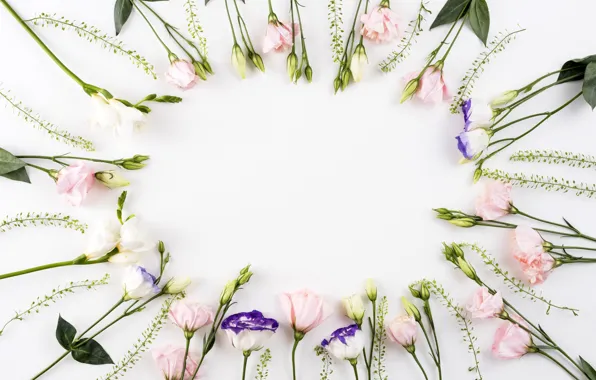 Flowers, pink, flowers, beautiful, romantic, eustoma, eustoma
