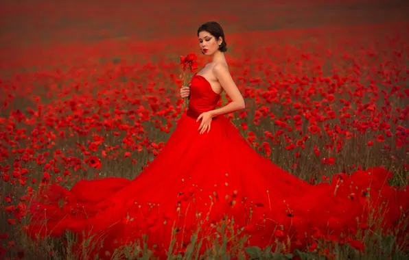 Picture girl, flowers, pose, style, model, Maki, neckline, red dress