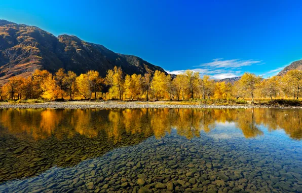 Picture autumn, reflection, river, The Altai Mountains