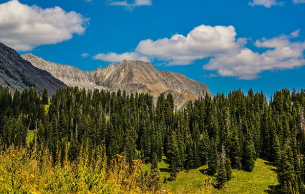 Picture autumn, forest, clouds, mountains, blue, ate