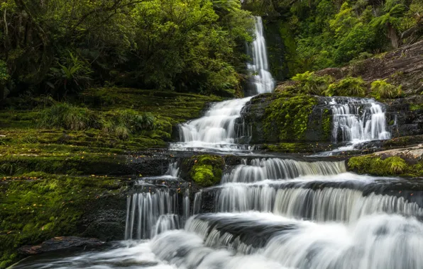 Forest, waterfall, moss, New Zealand, cascade, New Zealand, Tautuku River, The McLean Falls