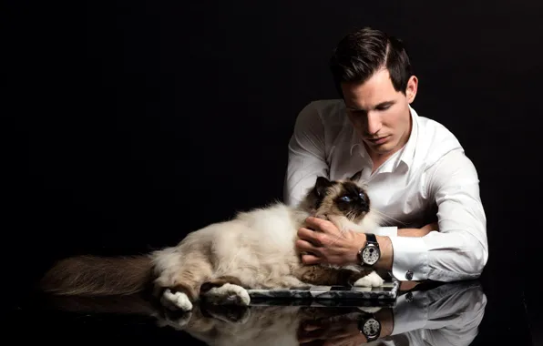 Picture cat, cat, male, guy