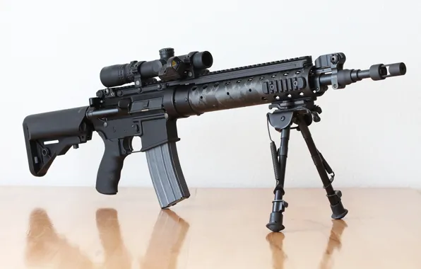 Rifle, SPR, MK12