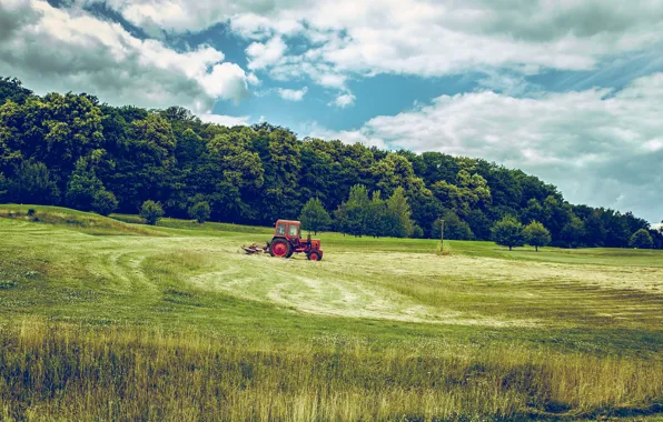 Picture field, forest, the sky, grass, tractor, agricultural machinery