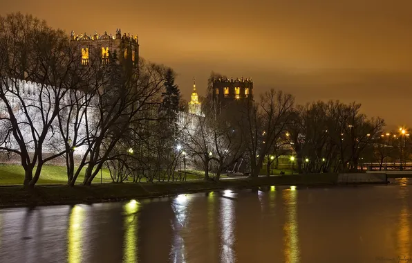 Light, night, the city