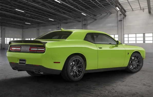 Dodge, Challenger, Scat Pack, Challenger RT, 2019